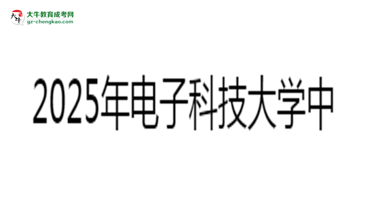 2025年電子科技大學(xué)中山學(xué)院成考計算機科學(xué)與技術(shù)專業(yè)能拿學(xué)位證嗎？