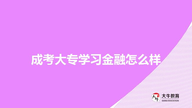 成考大專學習金融怎么樣