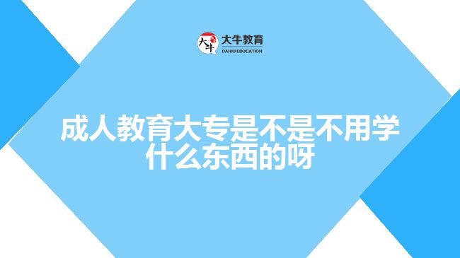 成人教育大專是不是不用學什么東西的呀