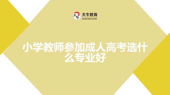 小學教師參加成人高考選什么專業(yè)好