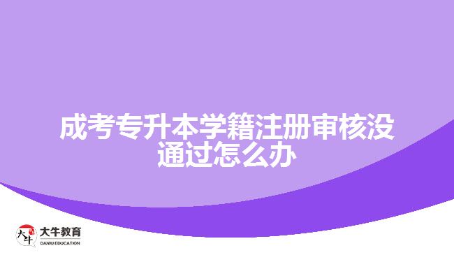 成考專升本學籍注冊審核沒通過怎么辦