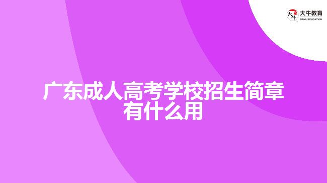 廣東成人高考學(xué)校招生簡章有什么用