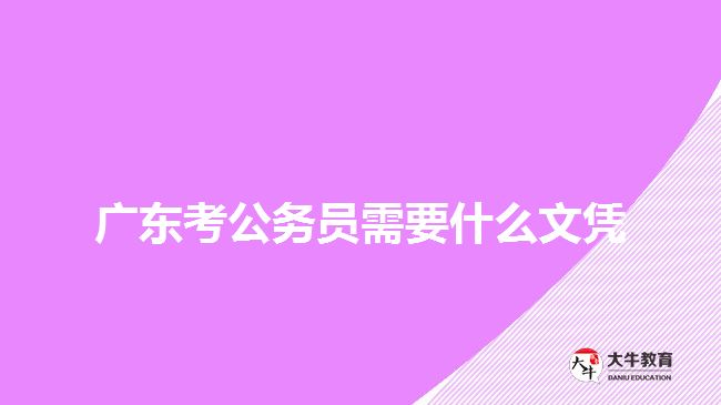 廣東考公務(wù)員需要什么文憑