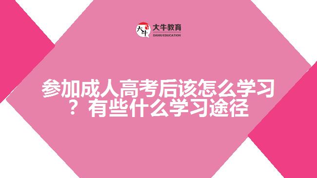 參加成人高考后該怎么學(xué)習(xí)？有些什么學(xué)習(xí)途徑