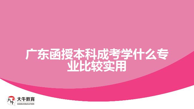 廣東函授本科成考學(xué)什么專業(yè)比較實(shí)用