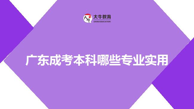 廣東成考本科哪些專業(yè)實用