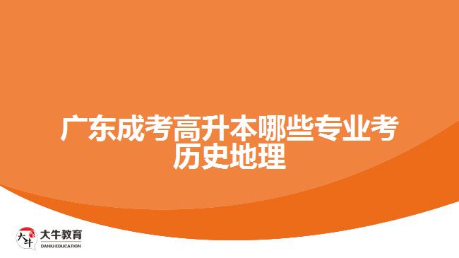 廣東成考高升本哪些專(zhuān)業(yè)考?xì)v史地理