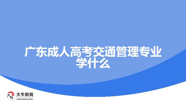 廣東成人高考交通管理專業(yè)學什么