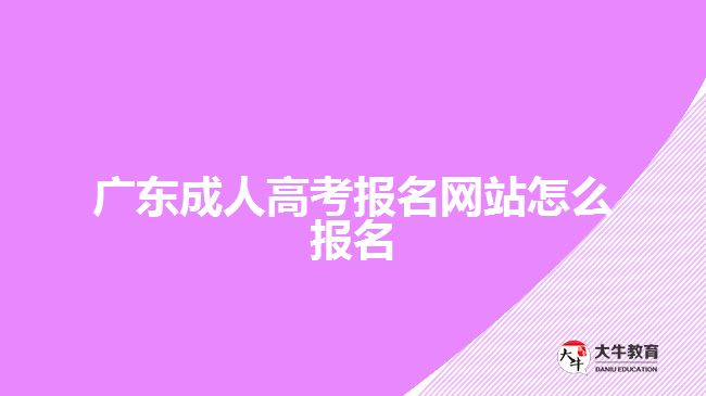 廣東成人高考報(bào)名網(wǎng)站怎么報(bào)名