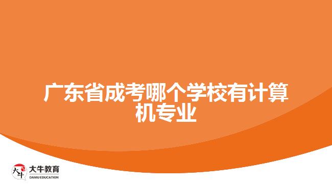 廣東省成考哪個(gè)學(xué)校有計(jì)算機(jī)專業(yè)