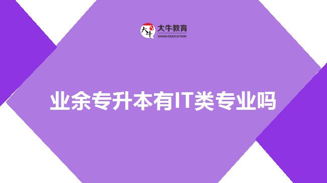 業(yè)余專升本有IT類專業(yè)嗎