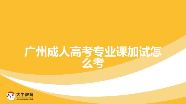 廣州成人高考專業(yè)課加試怎么考