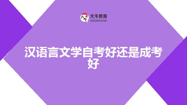 漢語言文學(xué)自考好還是成考好