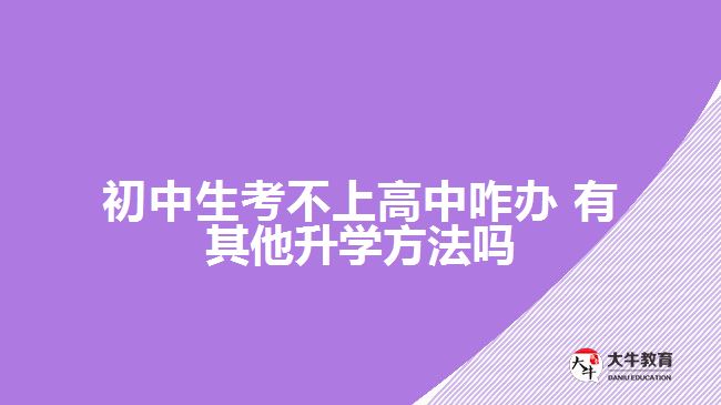 初中生考不上高中咋辦?有其他升學(xué)方法嗎