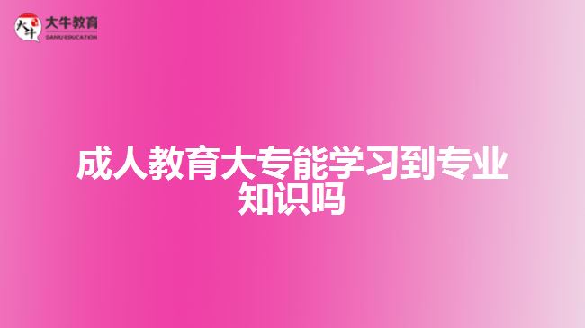 成人教育大專能學(xué)習(xí)到專業(yè)知識嗎