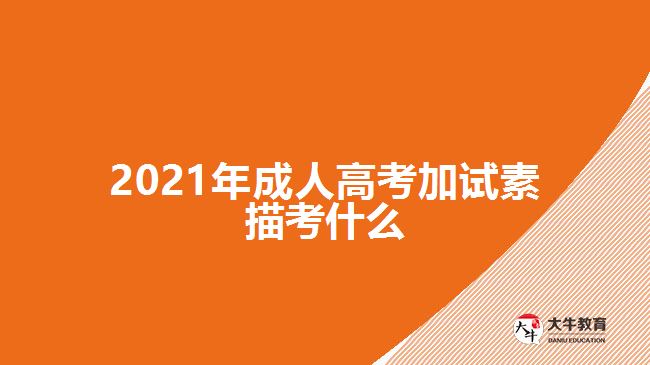 2021年成人高考加試素描考什么