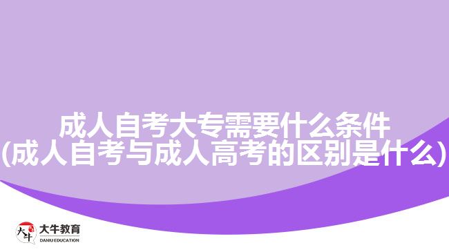 成人自考大專需要什么條件(成人自考與成人高考的區(qū)別是什么)