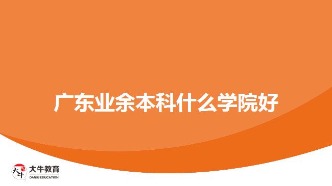 廣東業(yè)余本科什么學院好