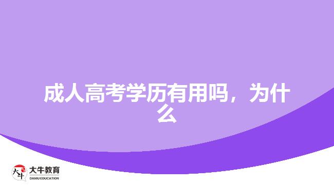 成人高考學(xué)歷有用嗎，為什么