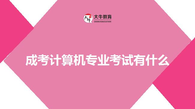 成考計算機專業(yè)考試有什么