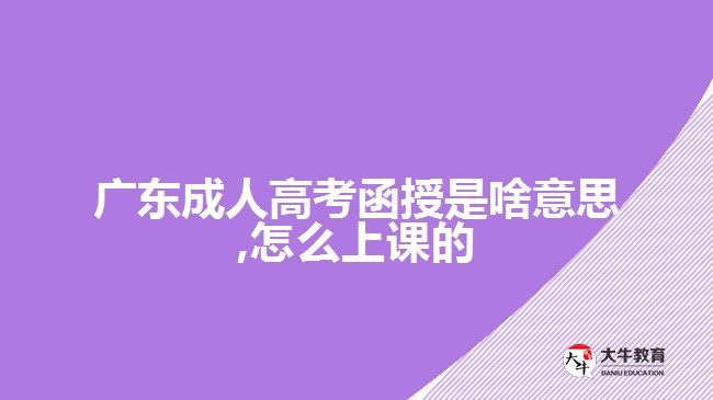 廣東成人高考函授是啥意思,怎么上課的