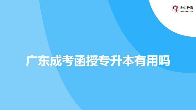 廣東成考函授專升本有用嗎