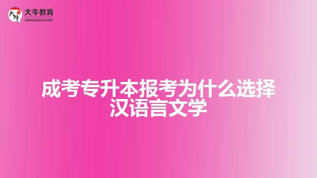 成考專升本報(bào)考選擇漢語言文學(xué)