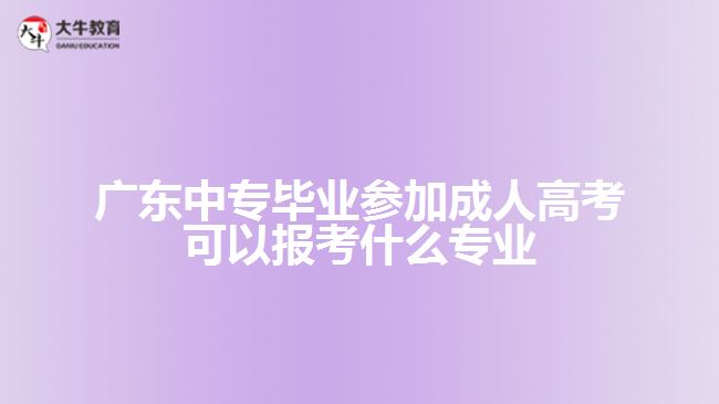 廣東中專畢業(yè)參加成人高考可以報考什么專業(yè)