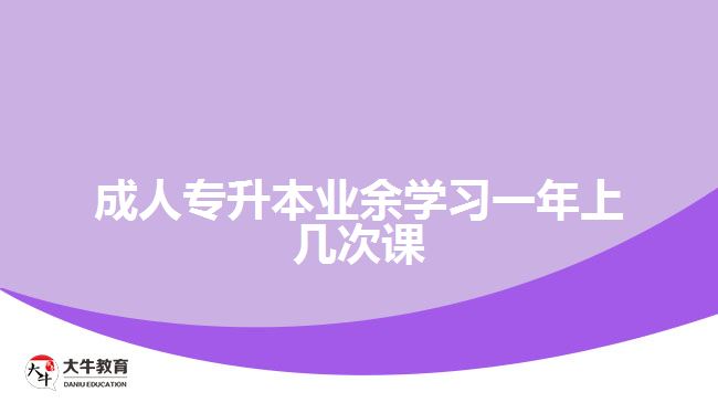 成人專升本業(yè)余學習一年上幾次課