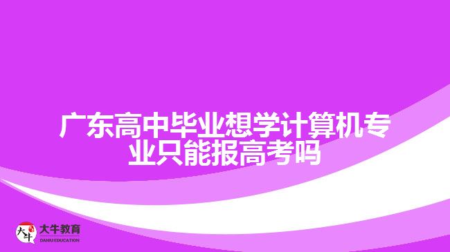 廣東高中畢業(yè)想學(xué)計算機(jī)專業(yè)只能報高考嗎