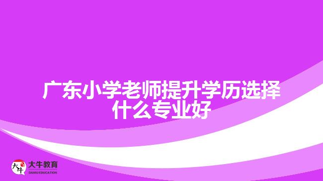 廣東小學(xué)老師提升學(xué)歷選擇什么專業(yè)好