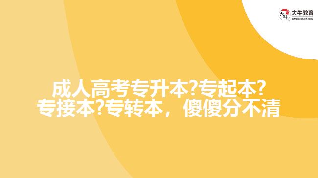 成人高考專升本?專起本?專接本?專轉(zhuǎn)本，傻傻分不清