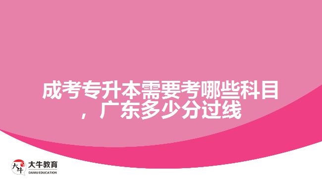 成考專升本需要考哪些科目，廣東多少分過線