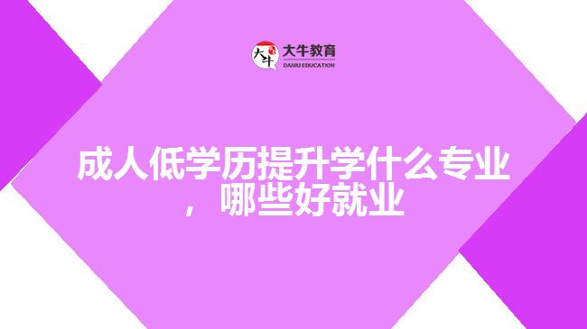 成人低學歷提升學什么專業(yè)