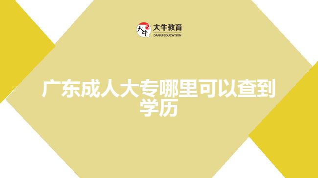 廣東成人大專哪里可以查到學(xué)歷