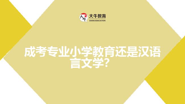 成考小學(xué)教育還是漢語言文學(xué)？