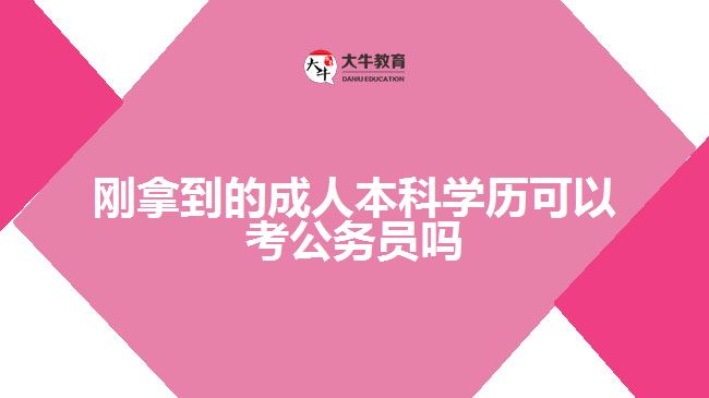 剛拿到的成人本科學歷可以考公務(wù)員嗎