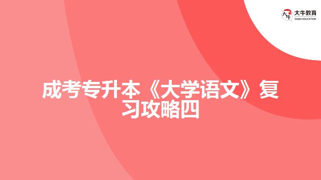 成考專(zhuān)升本《大學(xué)語(yǔ)文》復(fù)習(xí)攻略四