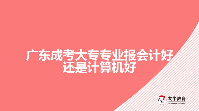 廣東成考大專專業(yè)報(bào)會(huì)計(jì)好還是計(jì)算機(jī)好