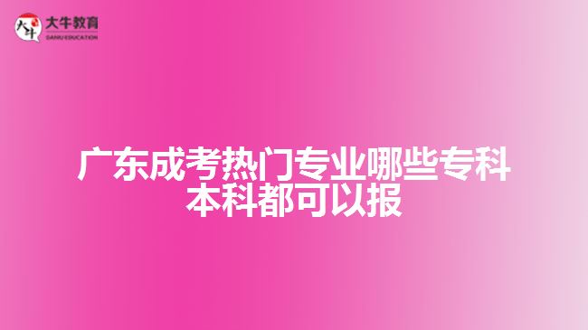 廣東成考熱門專業(yè)哪些專科本科都可以報