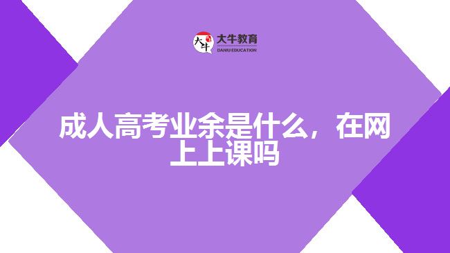 成人高考業(yè)余是什么在網(wǎng)上上課嗎