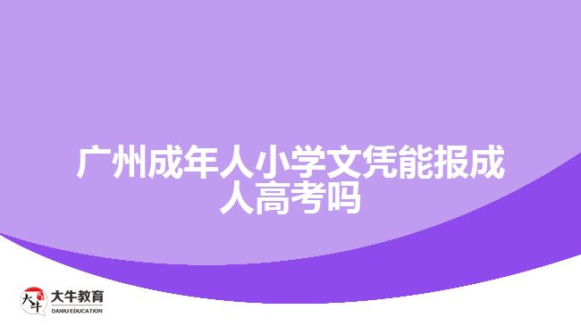 廣州成年人小學(xué)文憑能報(bào)成人高考嗎