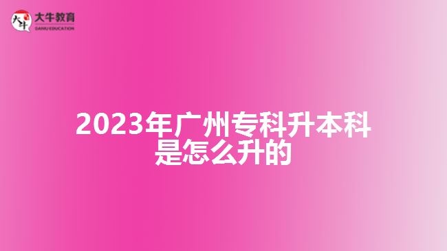 2023年廣州?？粕究剖窃趺瓷? width='170' height='105'/></a></dt>
						<dd><a href=