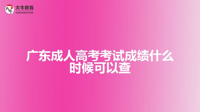 廣東成人高考考試成績什么時候可以查