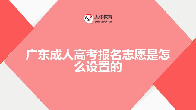 廣東成人高考報(bào)名志愿是怎么設(shè)置的