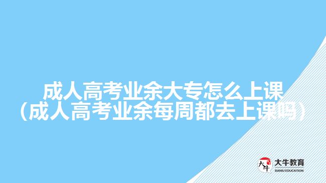 成人高考業(yè)余大專怎么上課（成人高考業(yè)余每周都去上課嗎）