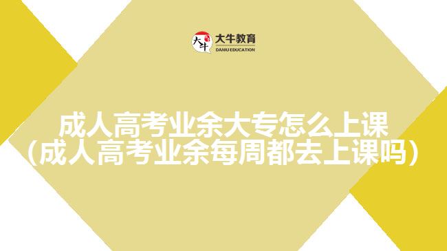 成人高考業(yè)余大專怎么上課