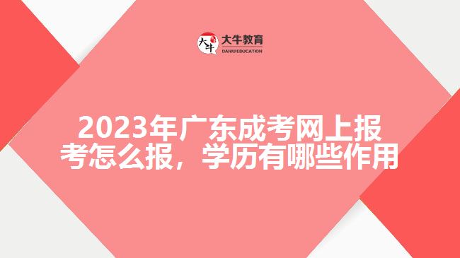 2023年廣東成考網上報考怎么報，學歷有哪些作用