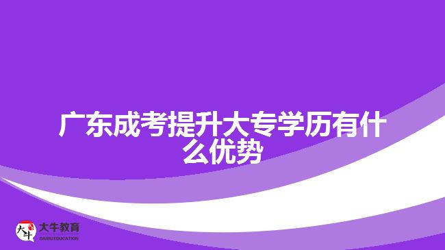 廣東成考提升大專學(xué)歷有什么優(yōu)勢