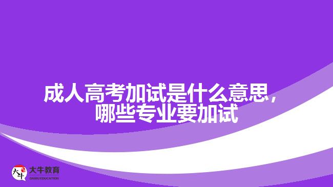 成人高考加試是什么意思